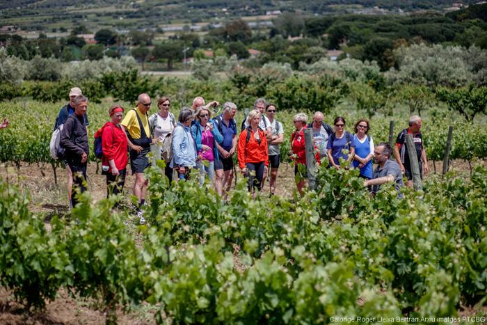 Visita a una vinya de l'Empordà